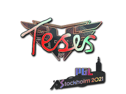 印花 | TeSeS （全息） | 2021年斯德哥尔摩锦标赛