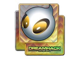印花 | Team Dignitas（闪亮）| 2014年 DreamHack 锦标赛