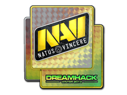 印花 | Natus Vincere（闪亮）| 2014年 DreamHack 锦标赛