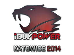 iBUYPOWER | 2014年卡托维兹锦标赛