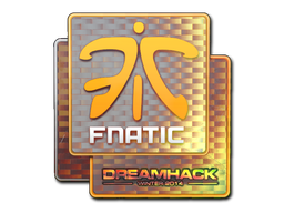 印花 | Fnatic（全息）| 2014年科隆锦标赛