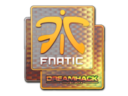印花 | Fnatic（全息）| 2014年 DreamHack 锦标赛