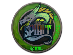 印花 | Team Spirit（全息）| 2019年卡托维兹锦标赛