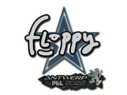 印花 | floppy | 2022年安特卫普锦标赛