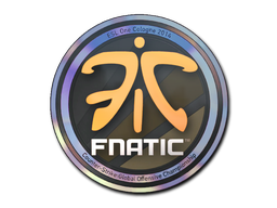 印花 | Fnatic（全息）| 2014年卡托维兹锦标赛