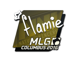 flamie | 2016年 MLG 哥伦布锦标赛