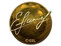 印花 | flamie(金色)| 2019年卡托维兹锦标赛