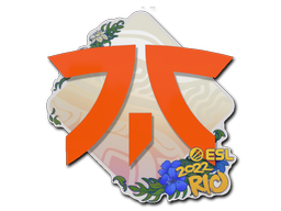 Fnatic | 2020 RMR