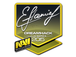 flamie | 2015年卢日-纳波卡锦标赛