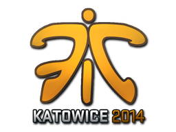 印花 | Fnatic（全息）| 2014年卡托维兹锦标赛