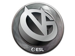 ViCi Gaming | 2019年卡托维兹锦标赛