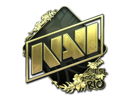 印花 | Natus Vincere（金色）| 2014年 DreamHack 锦标赛