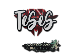 印花 | TeSeS | 2022年安特卫普锦标赛