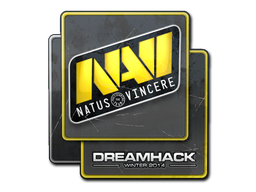 Natus Vincere | 2020 RMR