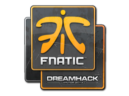 Fnatic | 2014年 DreamHack 锦标赛